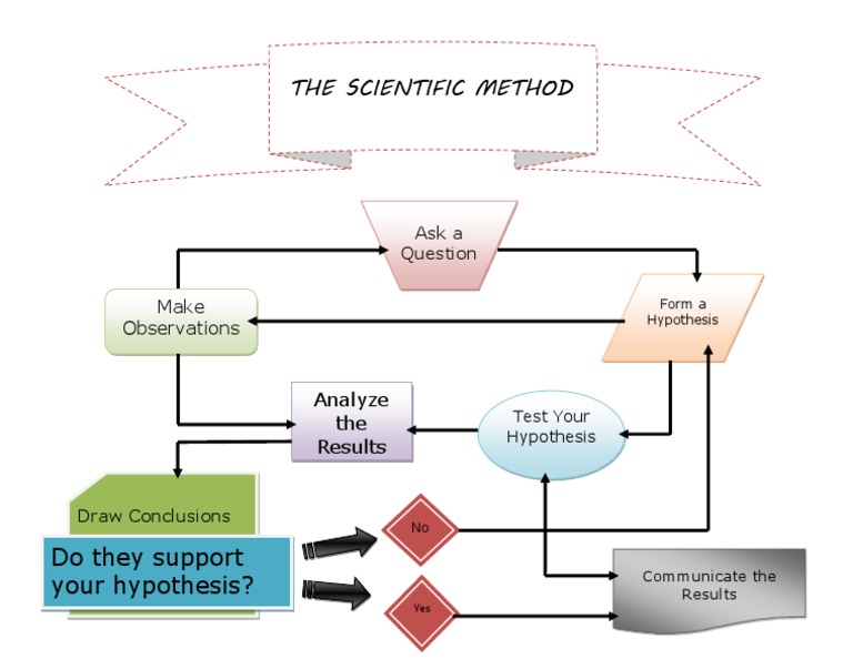 Understanding the Scientific Method | PDF