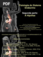 endocrino_hipofise