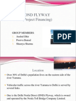 DND Flyway financing project report