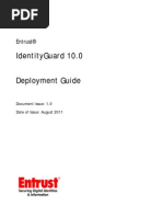 IG 100 Deploy Guide