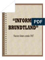 Informe Brundtland