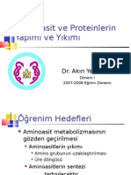 Protein Metabolizması DI 2008-2009