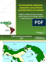 RECONVERSIÓN AMBIENTAL ganadera con sistemas silvopastoriles