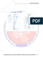 Muy Grafico Manual Kinesiologia Touch For Health Version 22 Parte31