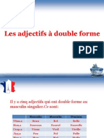 Les Adjectifs Double Forme