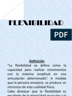 FLEXIBILIDAD