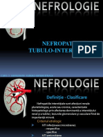 C3 - Nefropatiile Tubulo- Interstitiale