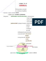 fiziologie cerebel hipotalamus