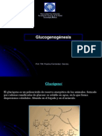 clase14glucogenolisisyglucogenogenesis-090716211003-phpapp02