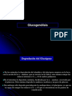 clase14glucogenolisisyglucogenogenesis-090716211003-phpapp02