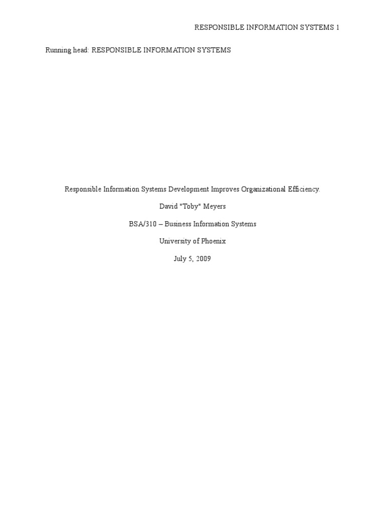 Responsible Information Systems | PDF