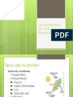 nutricion-091001045757-phpapp01