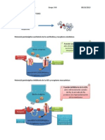 ACETILCOLINA Y SUS RECEPTORES.docx