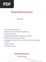 Download Enterobacteriaceae Ecoli  Klebsiella Pneumoniae by drparachuru SN174642923 doc pdf