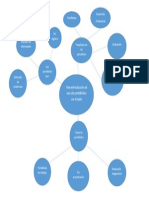 Mapa Molecular Introduccion Al Uso de Los Portafolios