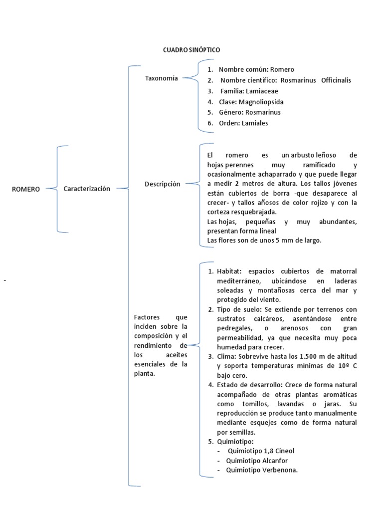 CUADRO SINÓPTICO