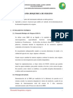 Informe de DBO