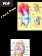 Download Knee Pain by bjpalmer SN17467537 doc pdf