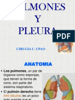 Pulmones y pleura: anatomía, linfáticos, cáncer