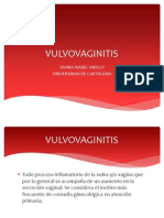 Vulvovaginitis 120512120816 Phpapp01