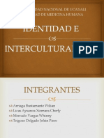 Identidad e Interculturalidad