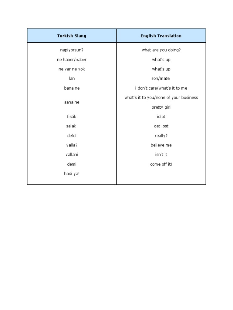 Turkish Slang PDF