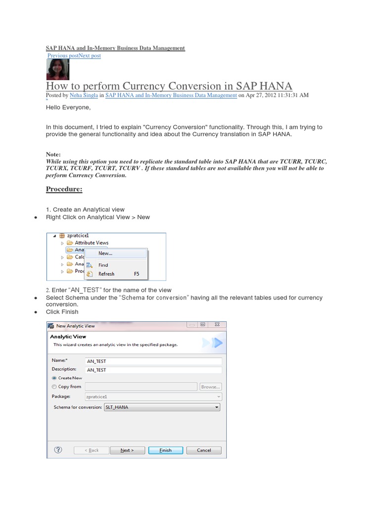 Currency Conversion in Hana PDF Data Data Management