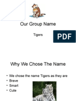 Our Group Name: Tigers