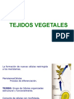 1.2_Tejidos_Vegetales