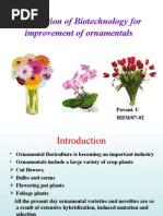 Download application of biotechnology for improvement of ornamental crops by pavani SN17475377 doc pdf
