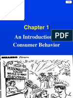 An Introduction To Consumer Behavior