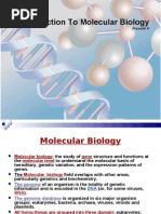 Introduction to Molecular Biology