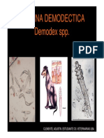 Demodex Spp Mayo 2013