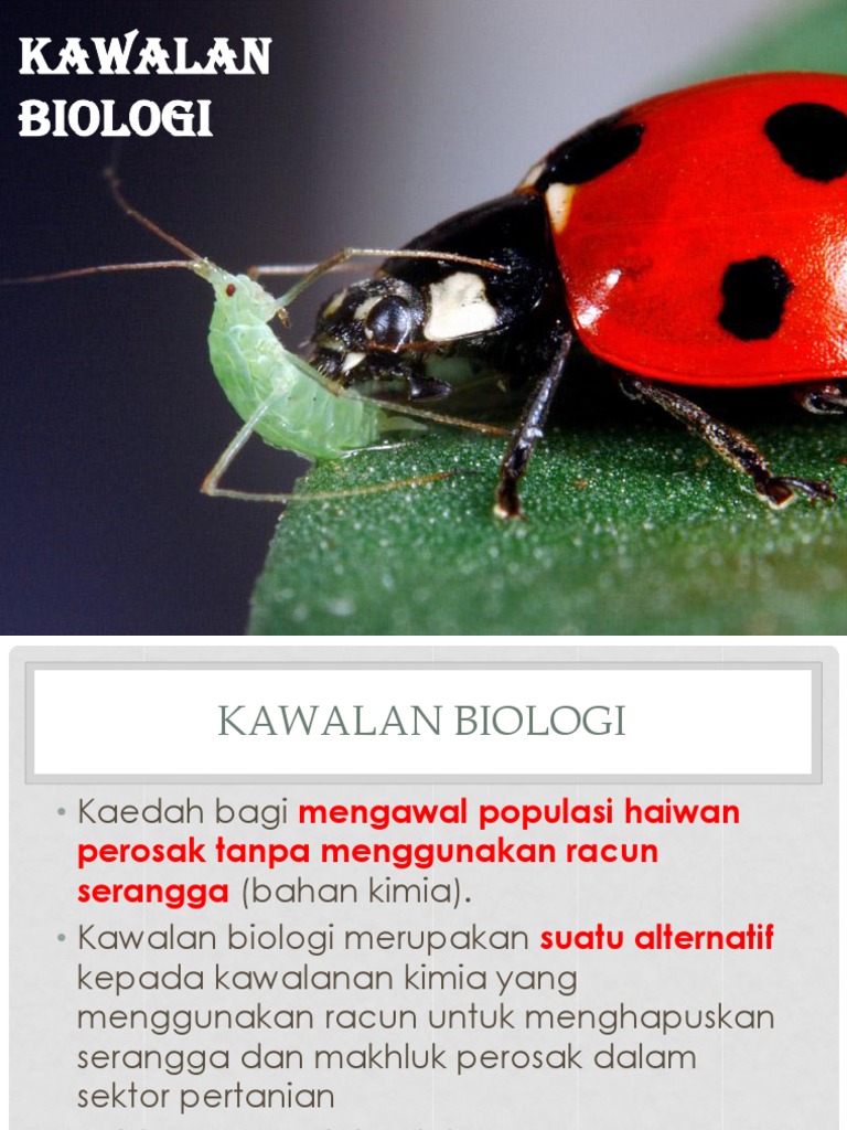 4 3 Kawalan Biologi Pdf