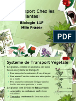 Bio11F - Notes sur les Systèmes de Transport – Les Plantes