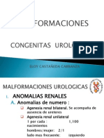 Malformaciones congénitas urológicas