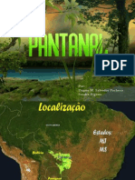 Bioma Do Pantanal