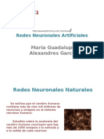 Redes NeuronalesAlexandres