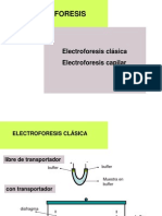 2011 Electroforesis Capilar
