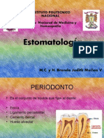 Parodonto o Periodonto