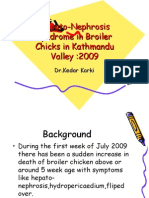 Hepato-Nephrosis Syndrome in Broiler Chicks in Kathmandu Valley