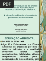 A educação ambiental e a formação de professores em licenciaturas