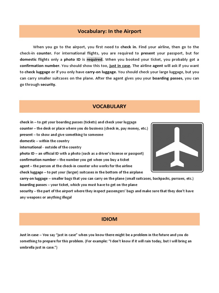 Airport Check-In Vocabulary Guide | PDF