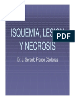 Isquemialesionynecrosis 100124133947 Phpapp02