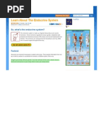 Download Endocrine System by jeffryv SN17491327 doc pdf