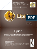 5 - Lipidos