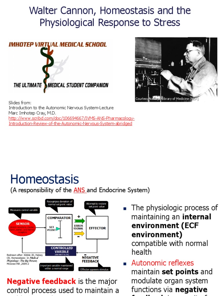 Walter Cannon, Homeostasis and the Physiological Response to Stress