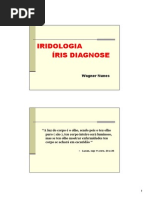 iridologia_irisDiagnose