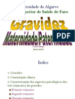 Psicologia da Gravidez e Maternidade/Paternidade - 1 (Perspectiva Histórica)