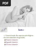 Psioclogia da Gravidez e Maternidade/Paternidade -  4 (Aspecttos Psicológicos dos  3 Trimestres de Gravidez)